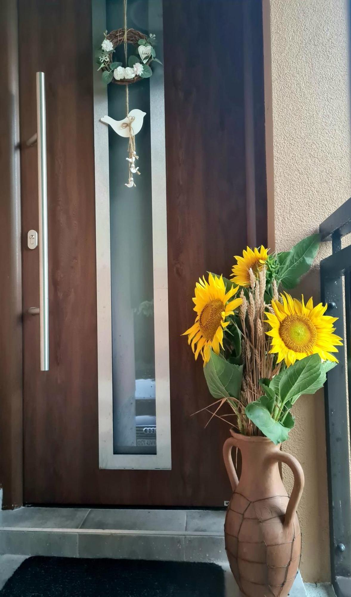 Gozdarjeva Hiska M&K Villa Добровник Екстериор снимка
