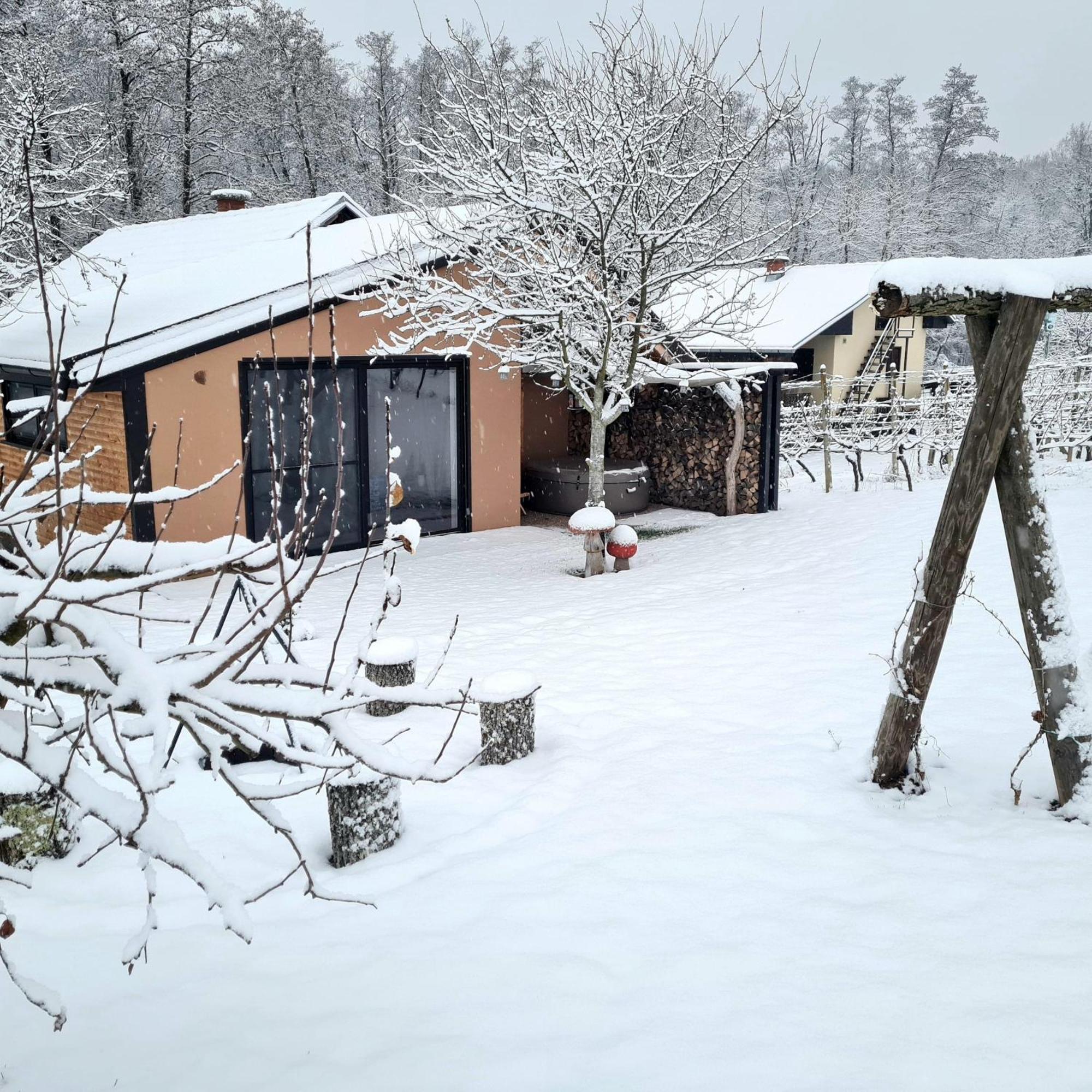 Gozdarjeva Hiska M&K Villa Добровник Екстериор снимка